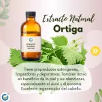 EXTRACTO HG ORTIGA