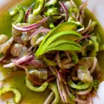 AGUACHILES ESTILO CORALES 4 A ELEGIR