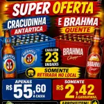 CRACUDINHA BRAHMA  ANTÁRCTICA QUENTE