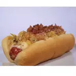 GÜERITO DOG
