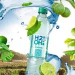 H2O