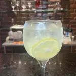Gin Tônica
