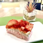 PLANCHA NATA FRESA