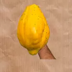 Mamão caipira (unidade)