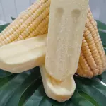 Milho Verde 🌽
