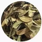 PATA DE VACA 50gr