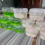 Gelatina en cajita