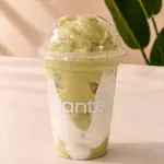 Matcha Madness