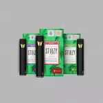 STIIIZY 1GR Regular Desechable