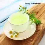 Infusiones