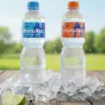 Água mineral 500ml