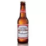 cerveja Budweiser