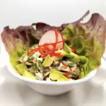 Ceviche de Champiñones