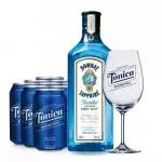 Combo Gin Bombay Tônica