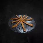 Bastones de Pollo teriyaki