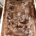 Ferrero rochedo gelato