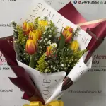 Ramo 065