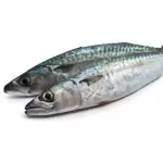PESCADO JUREL