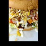 Hamburguesa Doble🍔.