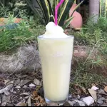 FRESA / LIMON / TAMA/PINA FRAPPÉ