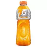 GATOREDE LARANJA