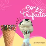 Cone Trufado 02 bolas