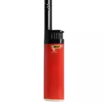 BIC REACH