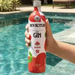 Invictus Melancia