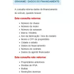 GRAVAME / DADOS DO FINANCIAMENTO