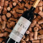 Casa di Neni - Merlot