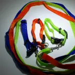 Collar con Arreo de Color Entero