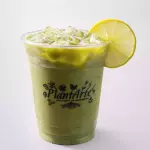 Matcha Tonic
