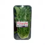 Rugula camsal