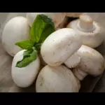Champiñones