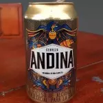 Andina