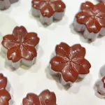 Flor Sakura