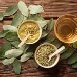MORINGA EM PÓ