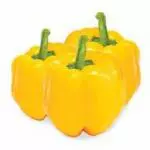 Pimiento Morrón Amarillo