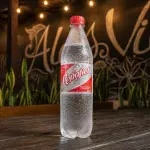 Peñafiel Pet Desechable 600 ml