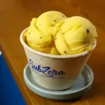 Maracujá com manga - ZERO LACTOSE