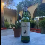 WHISKY 08 ANOS (TRAGO)
