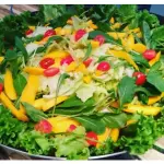 Salada orgânica (eventos)