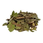 Chá Verde (nacional)