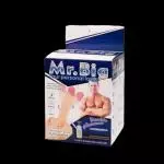 MR. BIG MASTURBADOR