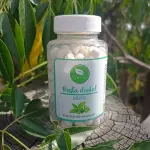 Pasta Dental Menta