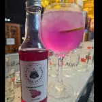 GIN tônica PITAYA (tanqueray)