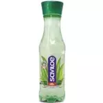 Saviloe