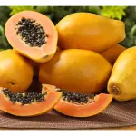 Papaya