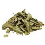 Boldo 100gr