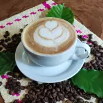 CAFE LATTE